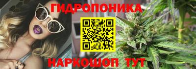 бошки Жуковский