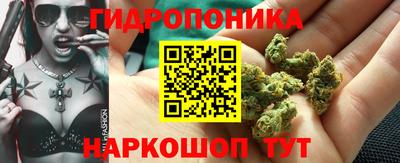 бошки Жуковский