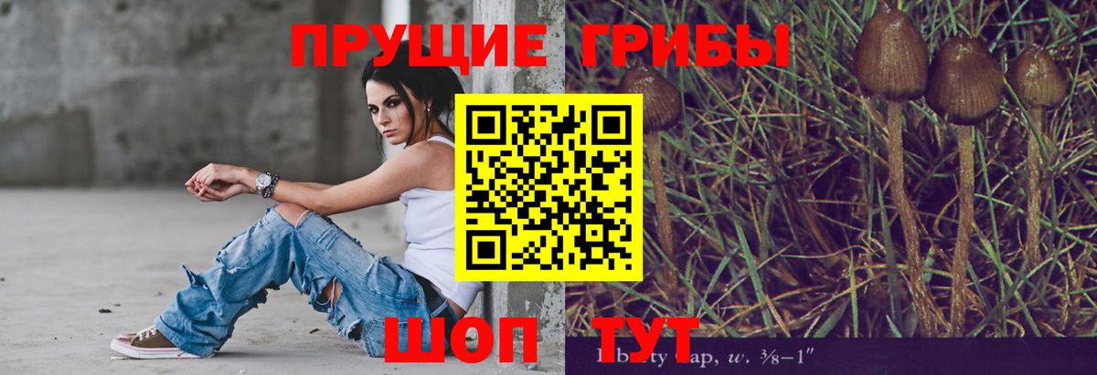 Королёв  Псилоцибиновые грибы мицелий  Вход с VPN 
